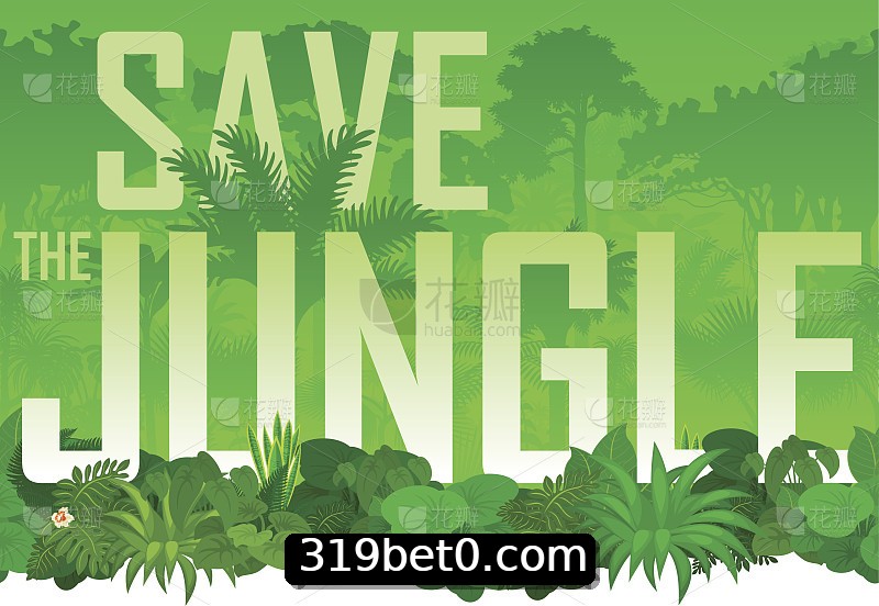 Integração de APIs 319bet